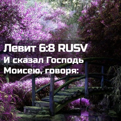 Picture 02 - Левит 6:8 RUSV - И сказал Господь Моисею, - Bible Verse Picture