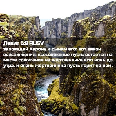 Picture 02 - Левит 6:9 RUSV - заповедай Аарону и сынам - Bible Verse Picture