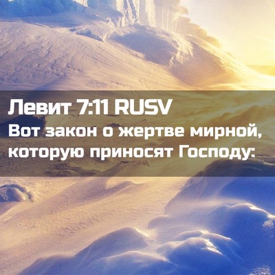 Picture 02 - Левит 7:11 RUSV - Вот закон о жертве мирной, - Bible Verse Picture