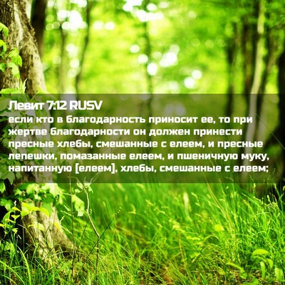 Picture 02 - Левит 7:12 RUSV - если кто в благодарность - Bible Verse Picture