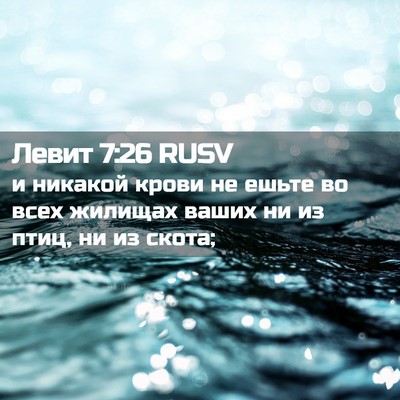 Picture 02 - Левит 7:26 RUSV - и никакой крови не ешьте во - Bible Verse Picture