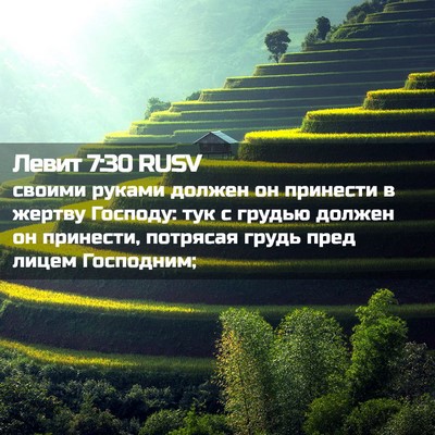 Picture 02 - Левит 7:30 RUSV - своими руками должен он - Bible Verse Picture