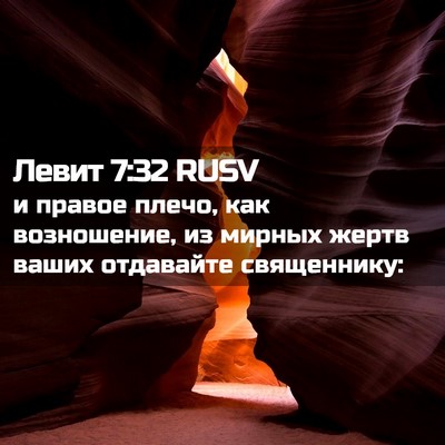 Picture 02 - Левит 7:32 RUSV - и правое плечо, как - Bible Verse Picture