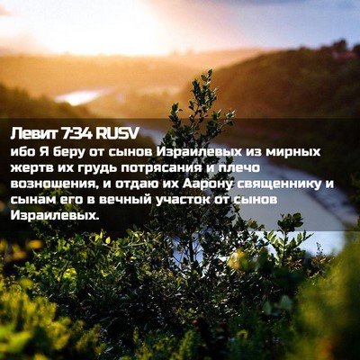 Picture 02 - Левит 7:34 RUSV - ибо Я беру от сынов - Bible Verse Picture