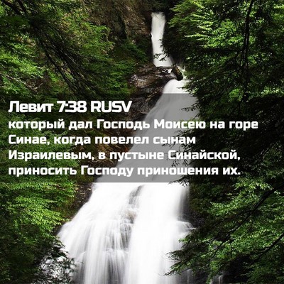 Picture 02 - Левит 7:38 RUSV - который дал Господь Моисею - Bible Verse Picture