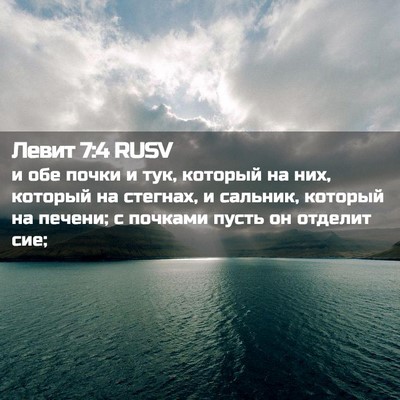 Picture 02 - Левит 7:4 RUSV - и обе почки и тук, который - Bible Verse Picture