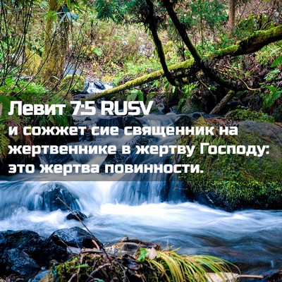 Picture 02 - Левит 7:5 RUSV - и сожжет сие священник на - Bible Verse Picture