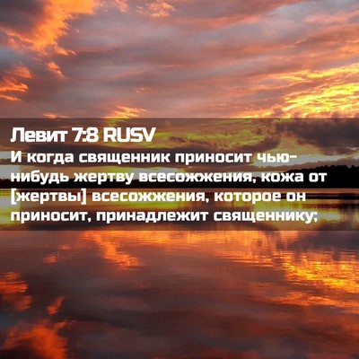 Picture 02 - Левит 7:8 RUSV - И когда священник приносит - Bible Verse Picture