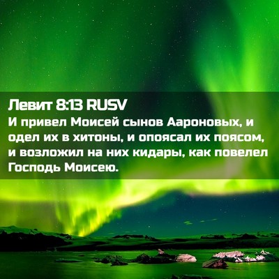 Picture 02 - Левит 8:13 RUSV - И привел Моисей сынов - Bible Verse Picture