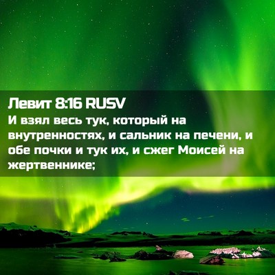Picture 02 - Левит 8:16 RUSV - И взял весь тук, который на - Bible Verse Picture