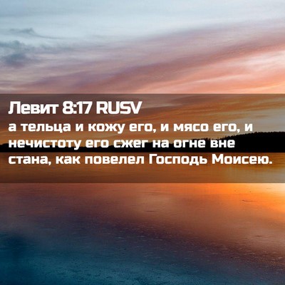 Picture 02 - Левит 8:17 RUSV - а тельца и кожу его, и мясо - Bible Verse Picture