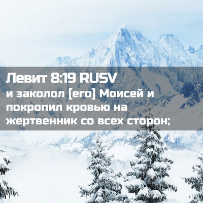 Picture 02 - Левит 8:19 RUSV - и заколол [его] Моисей и - Bible Verse Picture