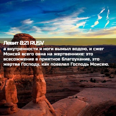 Picture 02 - Левит 8:21 RUSV - а внутренности и ноги - Bible Verse Picture