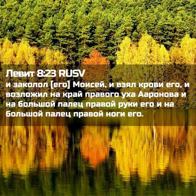 Picture 02 - Левит 8:23 RUSV - и заколол [его] Моисей, и - Bible Verse Picture