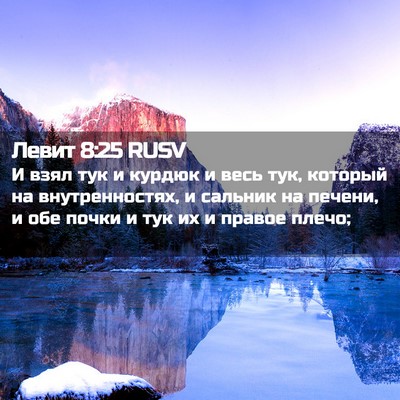 Picture 02 - Левит 8:25 RUSV - И взял тук и курдюк и весь - Bible Verse Picture