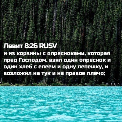 Picture 02 - Левит 8:26 RUSV - и из корзины с опресноками, - Bible Verse Picture