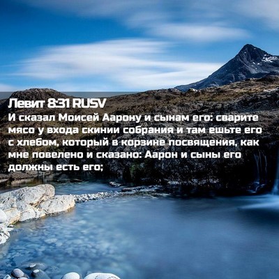 Picture 02 - Левит 8:31 RUSV - И сказал Моисей Аарону и - Bible Verse Picture