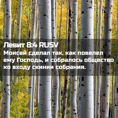 Picture 02 - Левит 8:4 RUSV - Моисей сделал так, как - Bible Verse Picture