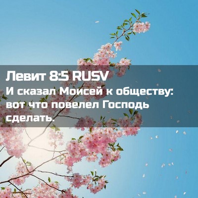 Picture 02 - Левит 8:5 RUSV - И сказал Моисей к обществу: - Bible Verse Picture