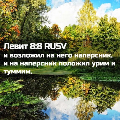 Picture 02 - Левит 8:8 RUSV - и возложил на него - Bible Verse Picture