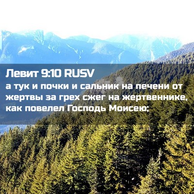 Picture 02 - Левит 9:10 RUSV - а тук и почки и сальник на - Bible Verse Picture