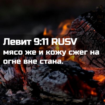 Picture 02 - Левит 9:11 RUSV - мясо же и кожу сжег на огне - Bible Verse Picture