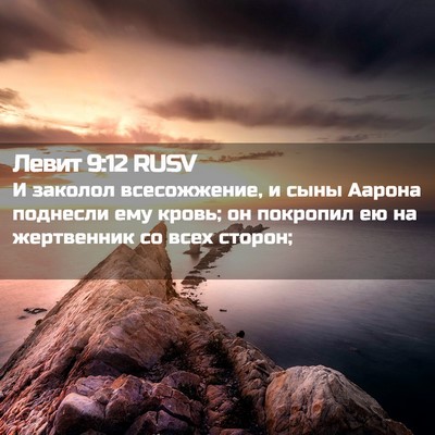 Picture 02 - Левит 9:12 RUSV - И заколол всесожжение, и - Bible Verse Picture
