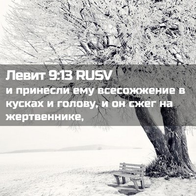 Picture 02 - Левит 9:13 RUSV - и принесли ему всесожжение - Bible Verse Picture