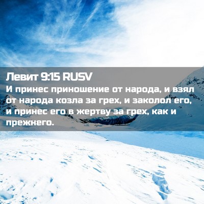 Picture 02 - Левит 9:15 RUSV - И принес приношение от - Bible Verse Picture