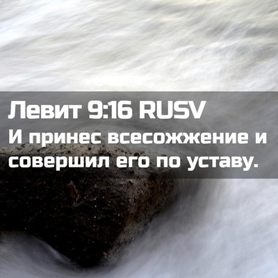 Picture 02 - Левит 9:16 RUSV - И принес всесожжение и - Bible Verse Picture