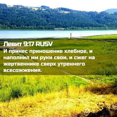 Picture 02 - Левит 9:17 RUSV - И принес приношение - Bible Verse Picture