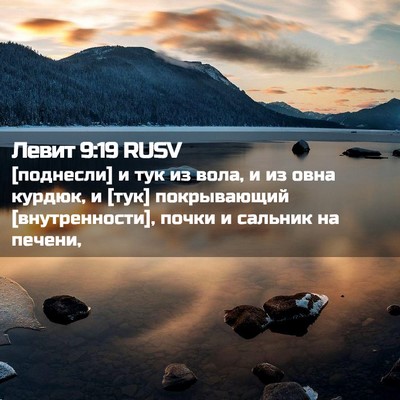 Picture 02 - Левит 9:19 RUSV - [поднесли] и тук из вола, и - Bible Verse Picture