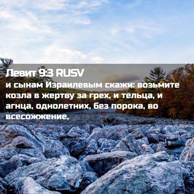 Picture 02 - Левит 9:3 RUSV - и сынам Израилевым скажи: - Bible Verse Picture