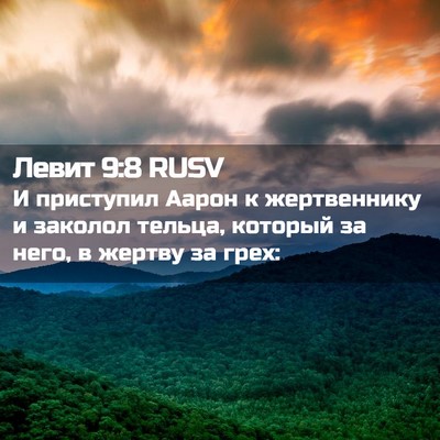 Picture 02 - Левит 9:8 RUSV - И приступил Аарон к - Bible Verse Picture