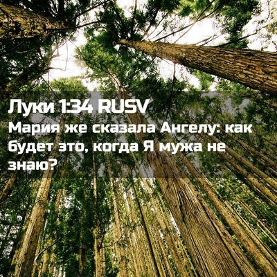 Picture 02 - Луки 1:34 RUSV - Мария же сказала Ангелу: - Bible Verse Picture