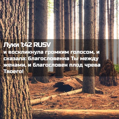 Picture 02 - Луки 1:42 RUSV - и воскликнула громким - Bible Verse Picture