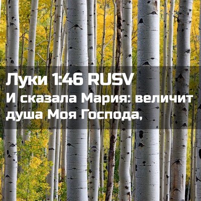 Picture 02 - Луки 1:46 RUSV - И сказала Мария: величит - Bible Verse Picture