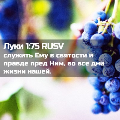 Picture 02 - Луки 1:75 RUSV - служить Ему в святости и - Bible Verse Picture
