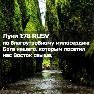 Picture 02 - Луки 1:78 RUSV - по благоутробному - Bible Verse Picture