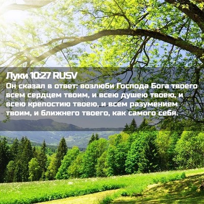 Picture 02 - Луки 10:27 RUSV - Он сказал в ответ: возлюби - Bible Verse Picture