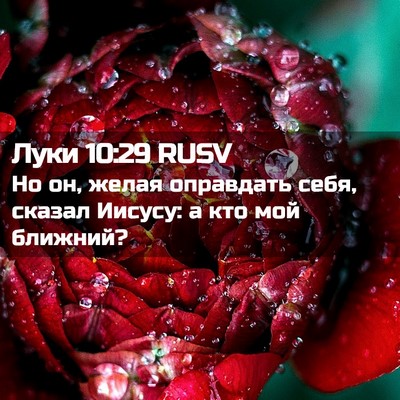 Picture 02 - Луки 10:29 RUSV - Но он, желая оправдать - Bible Verse Picture