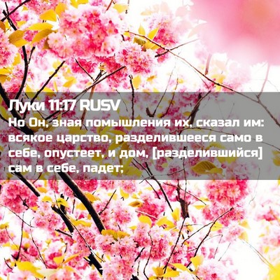 Picture 02 - Луки 11:17 RUSV - Но Он, зная помышления их, - Bible Verse Picture
