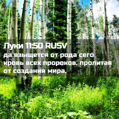Picture 02 - Луки 11:50 RUSV - да взыщется от рода сего - Bible Verse Picture