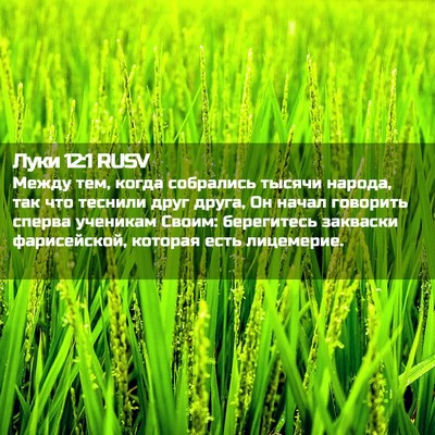 Picture 02 - Луки 12:1 RUSV - Между тем, когда собрались - Bible Verse Picture