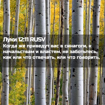 Picture 02 - Луки 12:11 RUSV - Когда же приведут вас в - Bible Verse Picture