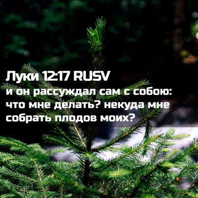 Picture 02 - Луки 12:17 RUSV - и он рассуждал сам с собою: - Bible Verse Picture