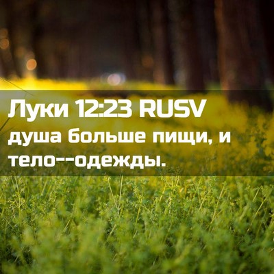 Picture 02 - Луки 12:23 RUSV - душа больше пищи, и - Bible Verse Picture