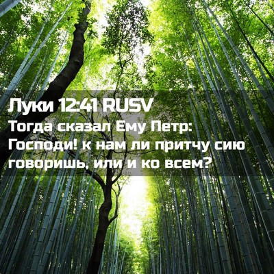 Picture 02 - Луки 12:41 RUSV - Тогда сказал Ему Петр: - Bible Verse Picture