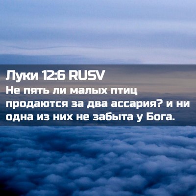 Picture 02 - Луки 12:6 RUSV - Не пять ли малых птиц - Bible Verse Picture