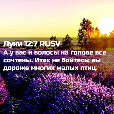 Picture 02 - Луки 12:7 RUSV - А у вас и волосы на голове - Bible Verse Picture